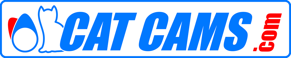 CatCams